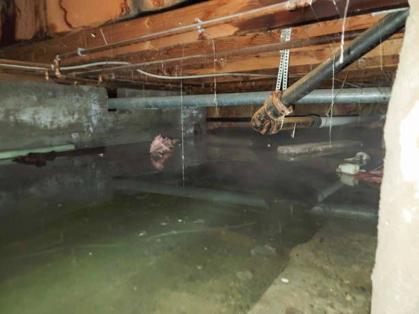 Best Water damage restoration near me  in Keshena, WI