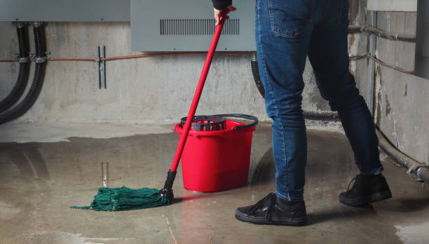Best Sewage cleanup and water damage restoration  in Keshena, WI