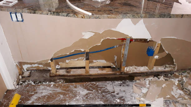 Best Water damage restoration specialists  in Keshena, WI