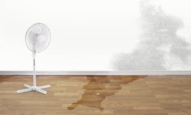 Best Flood damage cleanup  in Keshena, WI