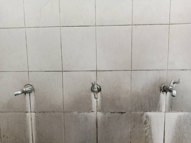 Best Local water damage restoration  in Keshena, WI