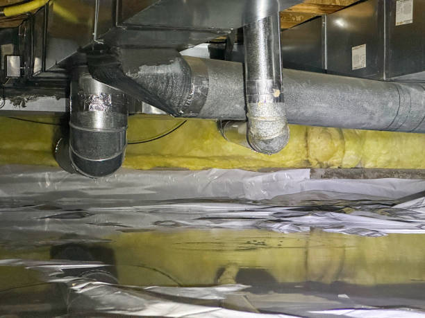 Best Water damage mitigation services  in Keshena, WI