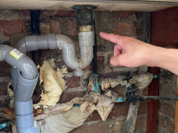 Best Professional water damage repair  in Keshena, WI